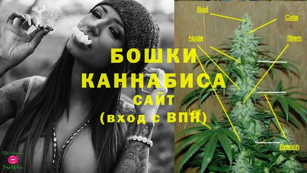 стаф Няндома