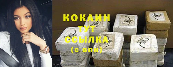 стаф Няндома