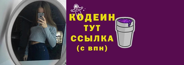 стаф Няндома