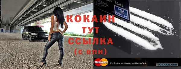стаф Няндома